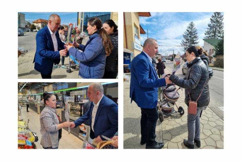 Nicolae Velcea Ștefănești