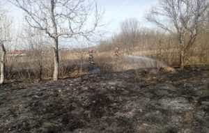 incendiu - (VIDEO) Incendiu de vegetație uscată în Argeș!