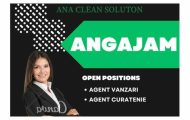 Ana Clean