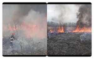 incendii vegetatie arges - (VIDEO) Val de incendii de vegetație în Argeș! Avertismentul pompierilor