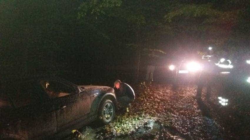 masina padure noapte