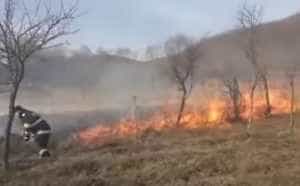 incendiu vegetatie - (VIDEO) Incendiu puternic în Argeș! Aproximativ 3 hectare sunt afectate