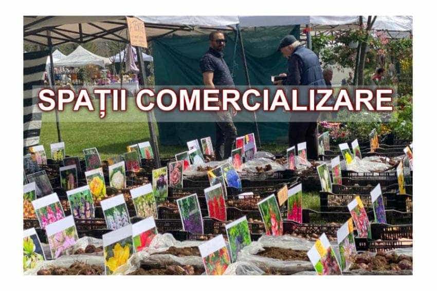 parc simfonie parc simfonie