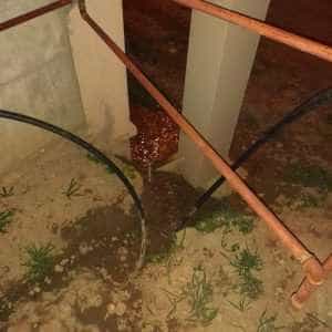 Piteștean amendat cu 2.000 lei. A fost reclamat de vecini 2 pitesti locatar amendat