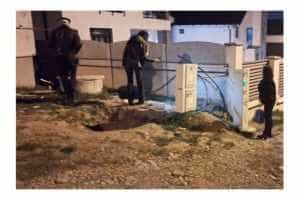 Piteștean amendat cu 2.000 lei. A fost reclamat de vecini 25 pitesti locatar amendat