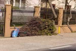 Campania de curățenie de primăvară continuă la Mioveni! 1 Mioveni