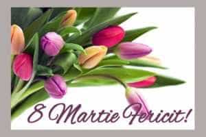 Primăria Poiana Lacului adresează doamnelor şi domnişoarelor „La mulţi ani”! 4 8 martie