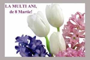 8 martie