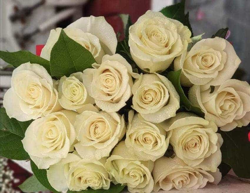 8-martie ziua femeii