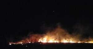Noapte de foc pentru pompierii argeșeni! Două incendii de vegetație puternice 1 incendiu-vegetatieStefanesti