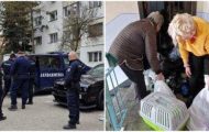 evacuare pisculungeanu