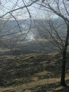 Două incendii de vegetație în Argeș - în doar 10 minute! Pericol de propagare la o pădure 1 incendiuuu - Două incendii de vegetație în Argeș - în doar 10 minute! Pericol de propagare la o pădure