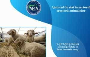 Sursă foto: FAcebook APIA