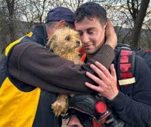 caine - Astăzi a avut loc misiunea de salvare a Lolei, o cățelușă pierdută de o săptămână, găsită într-o fântână!