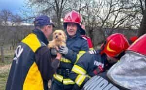 isu caine e1680526142771 - Astăzi a avut loc misiunea de salvare a Lolei, o cățelușă pierdută de o săptămână, găsită într-o fântână!