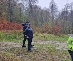 (VIDEO) Argeș: Mobilizare pentru găsirea unei tinere dispărute în pădure! 1 padure - (VIDEO) Argeș: Mobilizare pentru găsirea unei tinere dispărute în pădure!