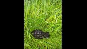 grenada iarba - O grenadă în stare perfectă de funcționare a fost găsită într-o parcare de un șofer de TIR!