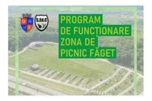 Mioveni picnic Faget