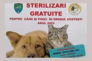 Costești - Sterilizări gratuite pentru câini și pisici. Află când 25 Untitled Project 5 - Costești - Sterilizări gratuite pentru câini și pisici. Află când