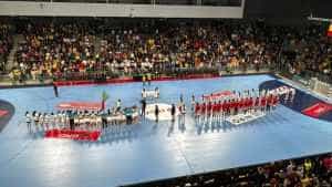 Pitești handbal romania