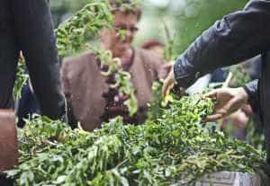 Duminica Floriilor - între tradiții și superstiții. Cu ramurile de salcie la biserică 1 Sursă foto: gds.ro