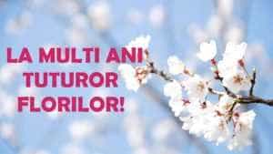 Primăria Pitești: „De Florii, și sufletele înfloresc!” 19 de Florii