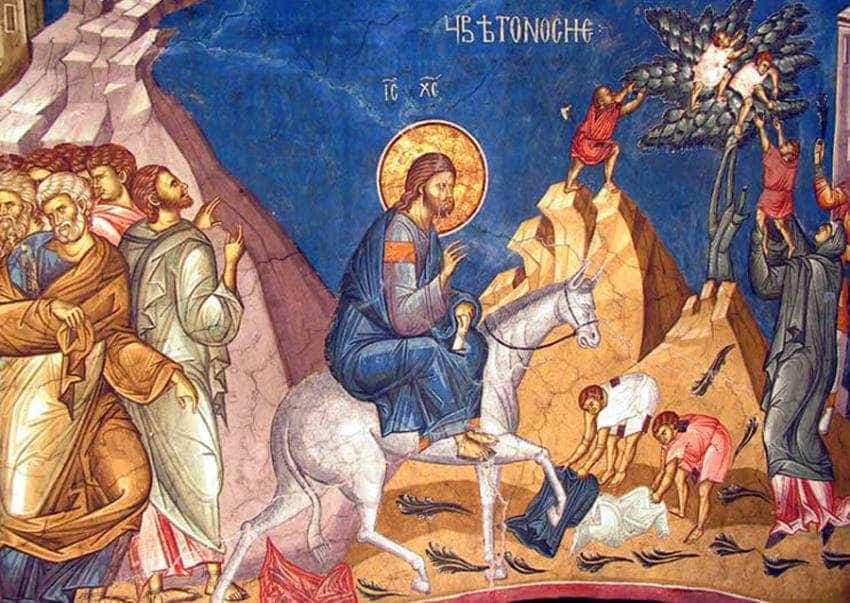 Florii Adrian Miutescu Sursă foto: Facebook Adrian Miuțescu