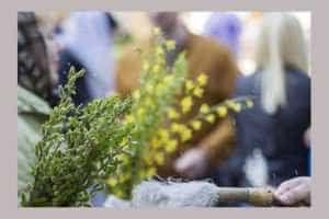 Tradiții și obiceiuri de Florii. Ce nu este bine să faci în această zi 3 de Florii