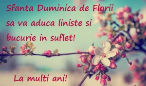 Mesaje și felicitări de Florii pentru cei care își serbează ziua numelui 2 de Florii mesaje