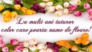 Mesaje și felicitări de Florii pentru cei care își serbează ziua numelui 4 de Florii mesaje