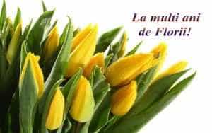Mesaje și felicitări de Florii pentru cei care își serbează ziua numelui 3 de Florii mesaje