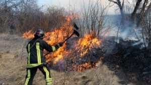 O argeșeancă s-a ales cu o amendă de 30.000 de lei după ce a incendiat mai multe deșeuri! 19 incendiu - O argeșeancă s-a ales cu o amendă de 30.000 de lei după ce a incendiat mai multe deșeuri!