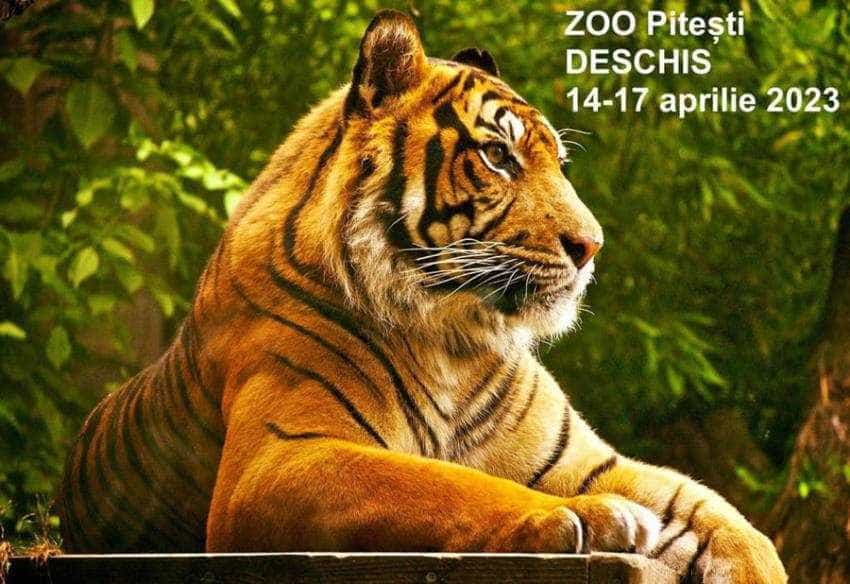 zooo pitesti paste Sursă foto: Facebook Primăria Municipiului Pitesti