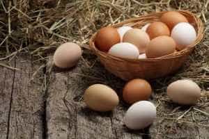 Femeia de 72 de ani - achitată post-mortem de judecători după ce ar fi dat mită 10 ouă! 10 beneficii consum de oua 534225985 compressor - Femeia de 72 de ani - achitată post-mortem de judecători după ce ar fi dat mită 10 ouă!