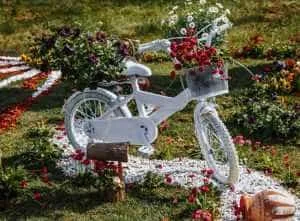 Sursă foto: Facebook Primaria Municipiului Pitesti