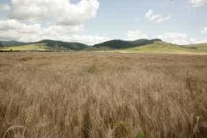 Sursă foto: Facebook MADR.