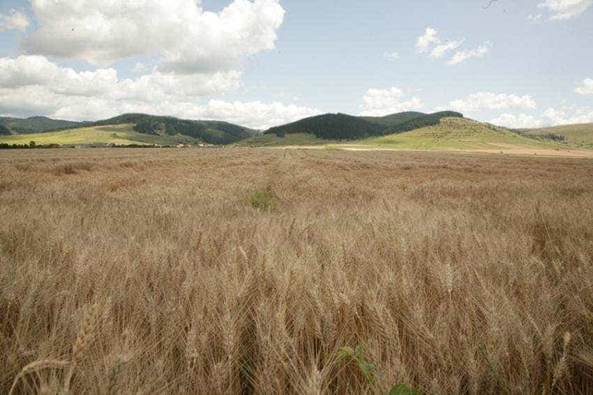 Sursă foto: Facebook MADR.