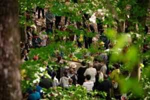 Mioveni. Credincioșii sunt invitați la Făget la "Izvorul Tămăduirii"! 1 izvor la Mioveni