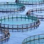 Sursă foto: Facebook MADR