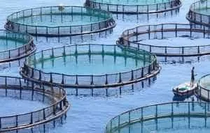 Sursă foto: Facebook MADR