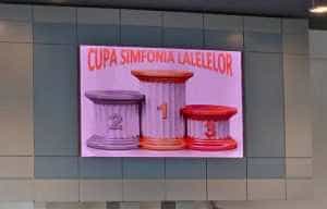 Sursă foto: Facebook Cristian Gentea