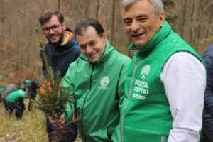 La Nucșoara au fost plantați 300 de puieți de brad. Forța Dreptei ajută la repopularea pădurilor 24 Sursă foto: Facebook Forță Dreptei