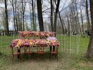 Simfonia Lalelelor20231 - Simfonia Lalelelor 2023. Urmează spectacole de muzică și dans