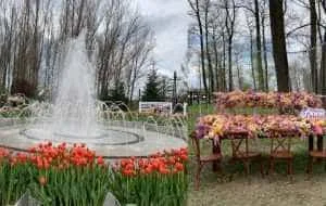 Simfonia Lalelelor3 - Simfonia Lalelelor 2023. Urmează spectacole de muzică și dans