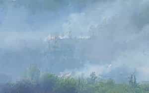 accident 1 e1682264969527 - (VIDEO) Teren de vegetație de 20.000 mp din Ștefănești - izbucnit în flăcări!