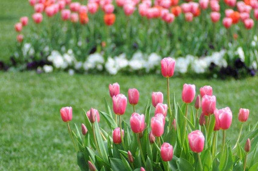 Sursă foto: Primăria Municipiului Pitesti