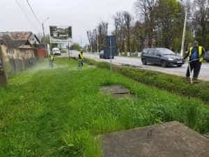 Acțiunile de salubrizare și întreținere a domeniului public - continuă la Ștefănești 2 342020339 186008720930713 4002635834399200746 n - Acțiunile de salubrizare și întreținere a domeniului public - continuă la Ștefănești