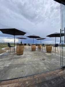 S-a deschis wine bar Marcea din vie! Află care este programul 3 Marcea bar vie