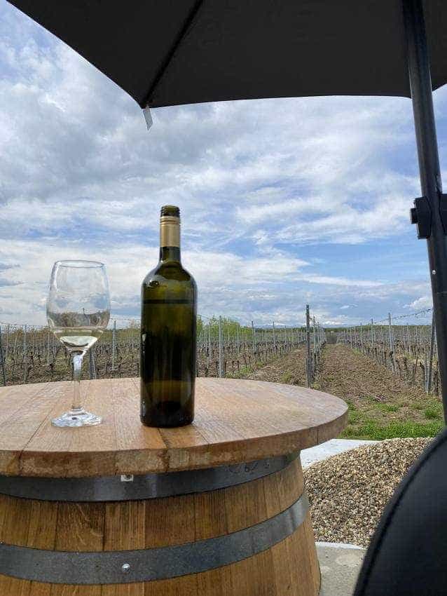 S-a deschis wine bar Marcea din vie! Află care este programul 5 Marcea bar vie