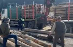 Furt lemne - Amenzi de 4.000 de lei date de polițiști, pentru furt de lemne!